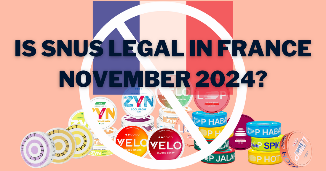 Is Snus or Nicotine Pouches Legal in France? - A Comprehensive Guide
