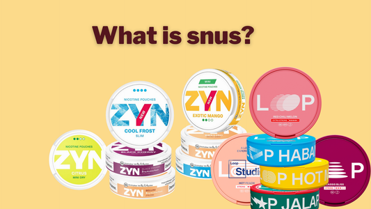 What is Snus? The Difference Between Tobacco Snus and Nicotine Pouches