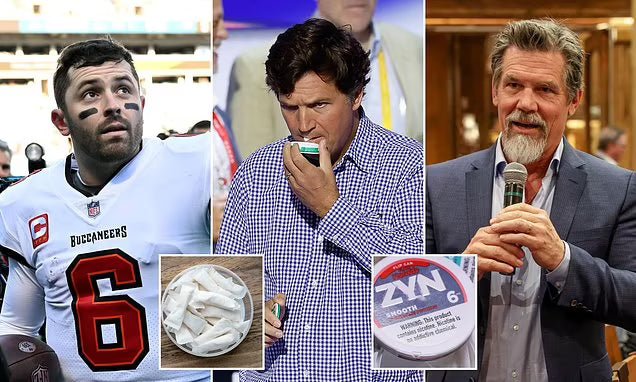 Celebrity Nicotine Pouches: Which Nicotine Pouches and Snus Do Stars Prefer in the USA? - Snusio.com