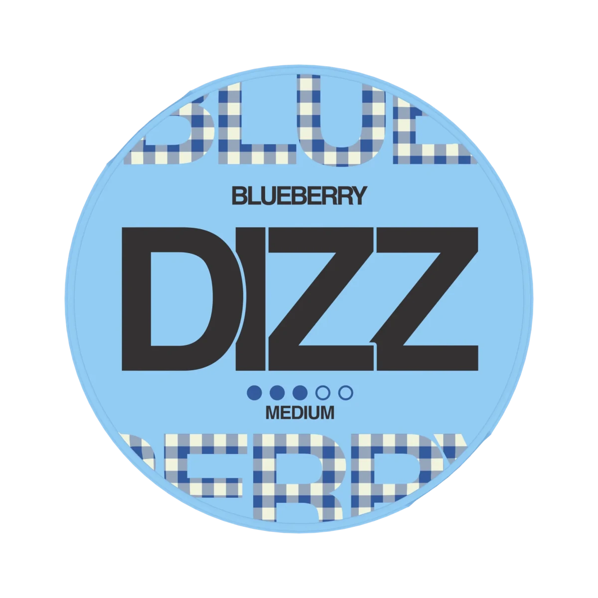 DIZZ Blueberry 8mg - Snusio.com
