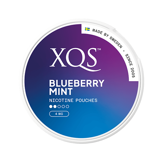 XQS Blueberry Mint 4mg - SNUSIO