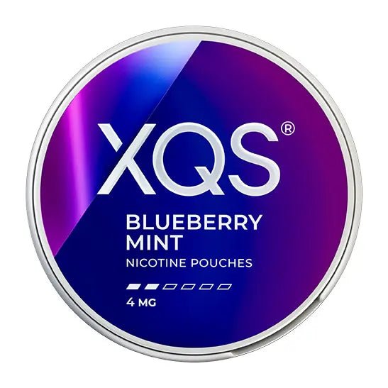 XQS Blueberry Mint 4mg - Snusio.com